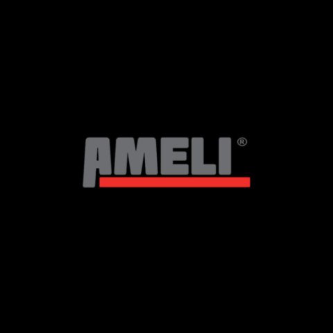 Ameli Consulting