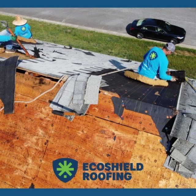 EcoShield Roofing