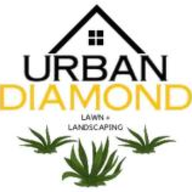 Urban Diamond Lawn