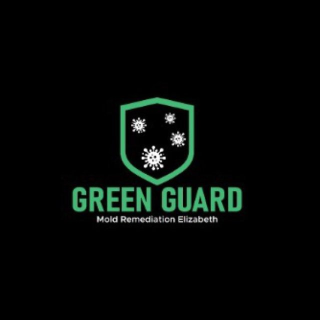 Green Guard Mold Specialist Elizabeth