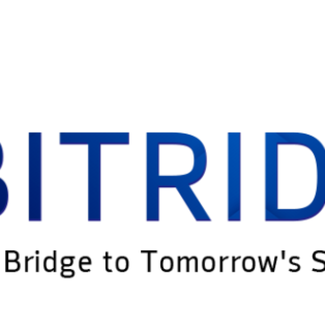 BITRIDGE LLC