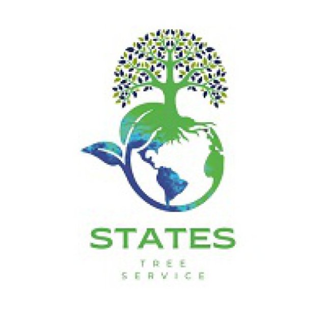 States Professional Tree Services