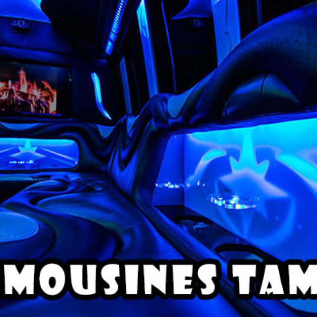 Limousines Tampa