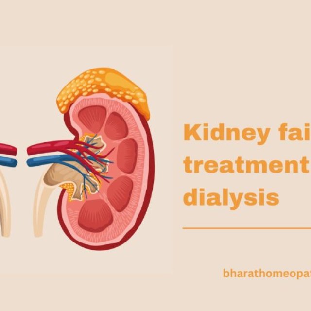 A Natural and Holistic Way to Maintain Kidney Health Without Dialysis: Bharat Homeopathy