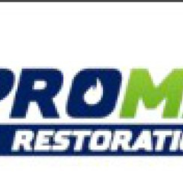 ProMaster Restoration Services