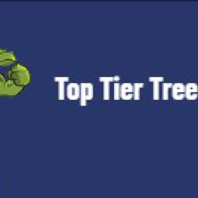 Top Tier Tree Specialists