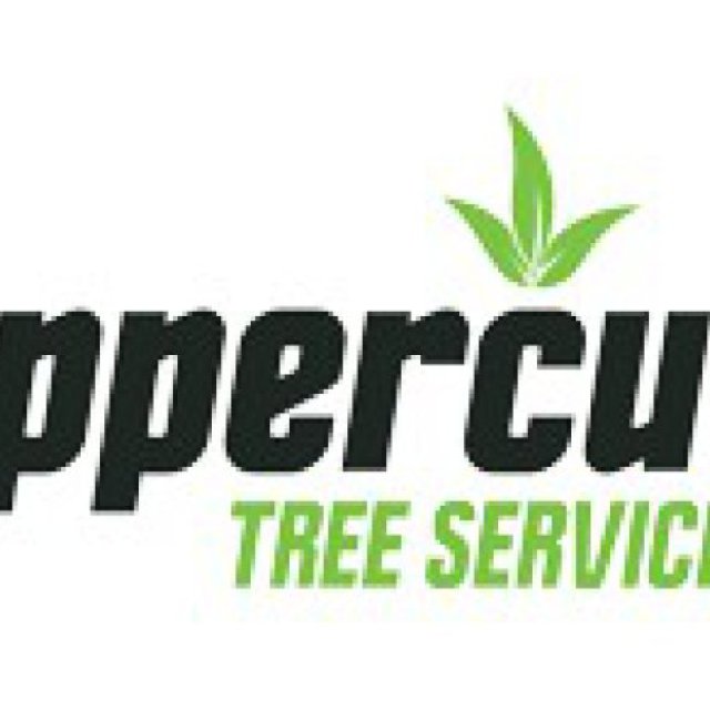 Uppercut Tree Services