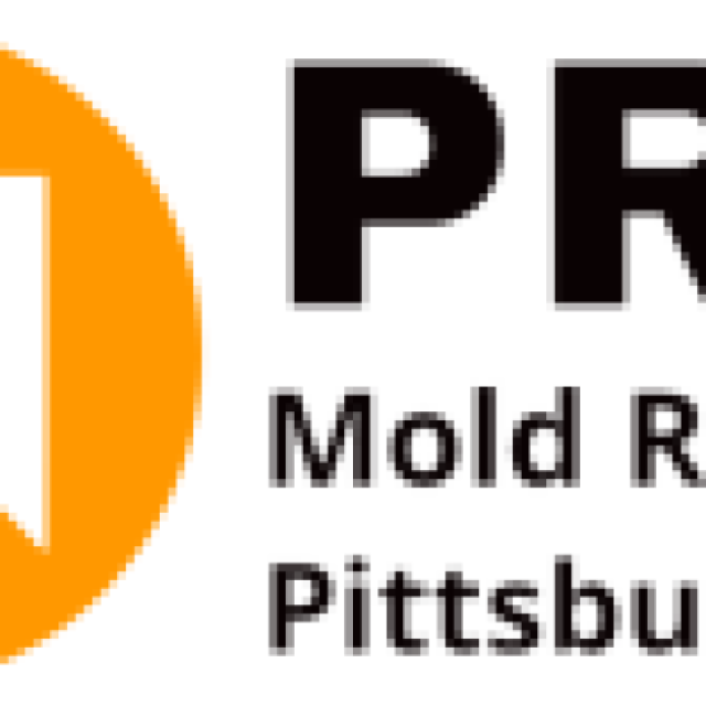 Pro Mold Removal Pittsburgh