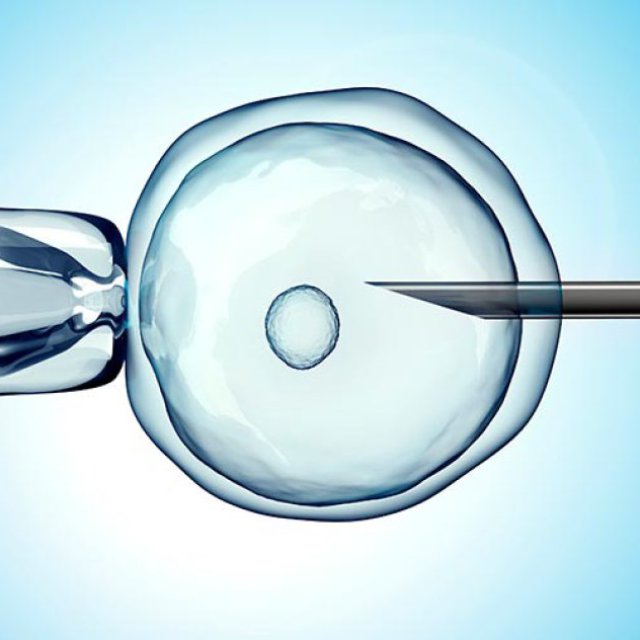 Care IVF