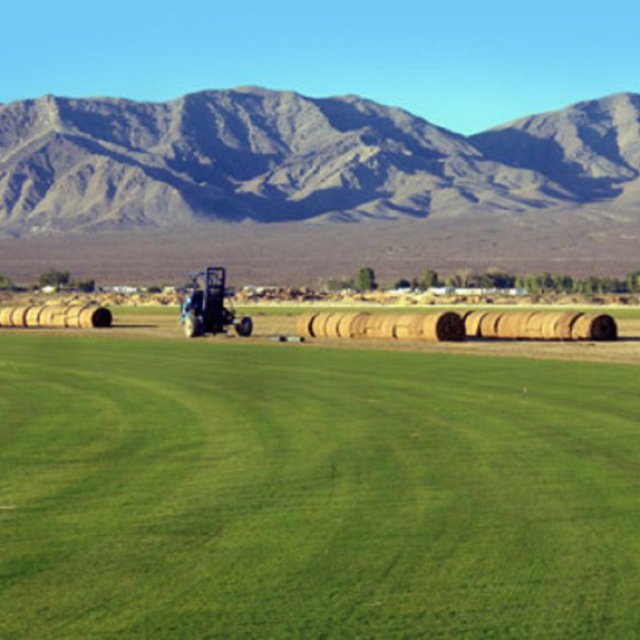 Valley Sod Farms