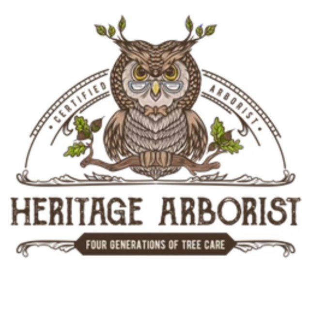 Heritage Arborist