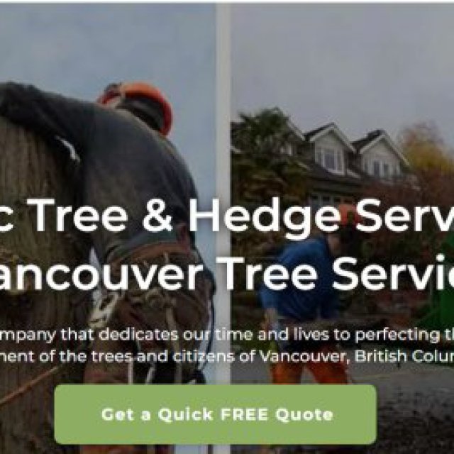 Aesthetic Tree & Hedge Service