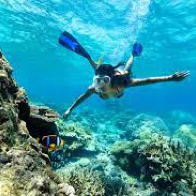 Fiji Tour Snorkeling