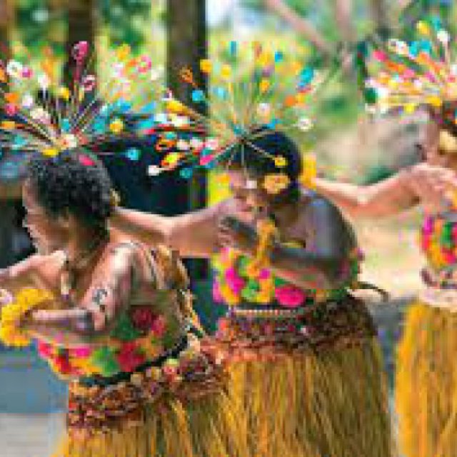 Nadi Full Day Tour